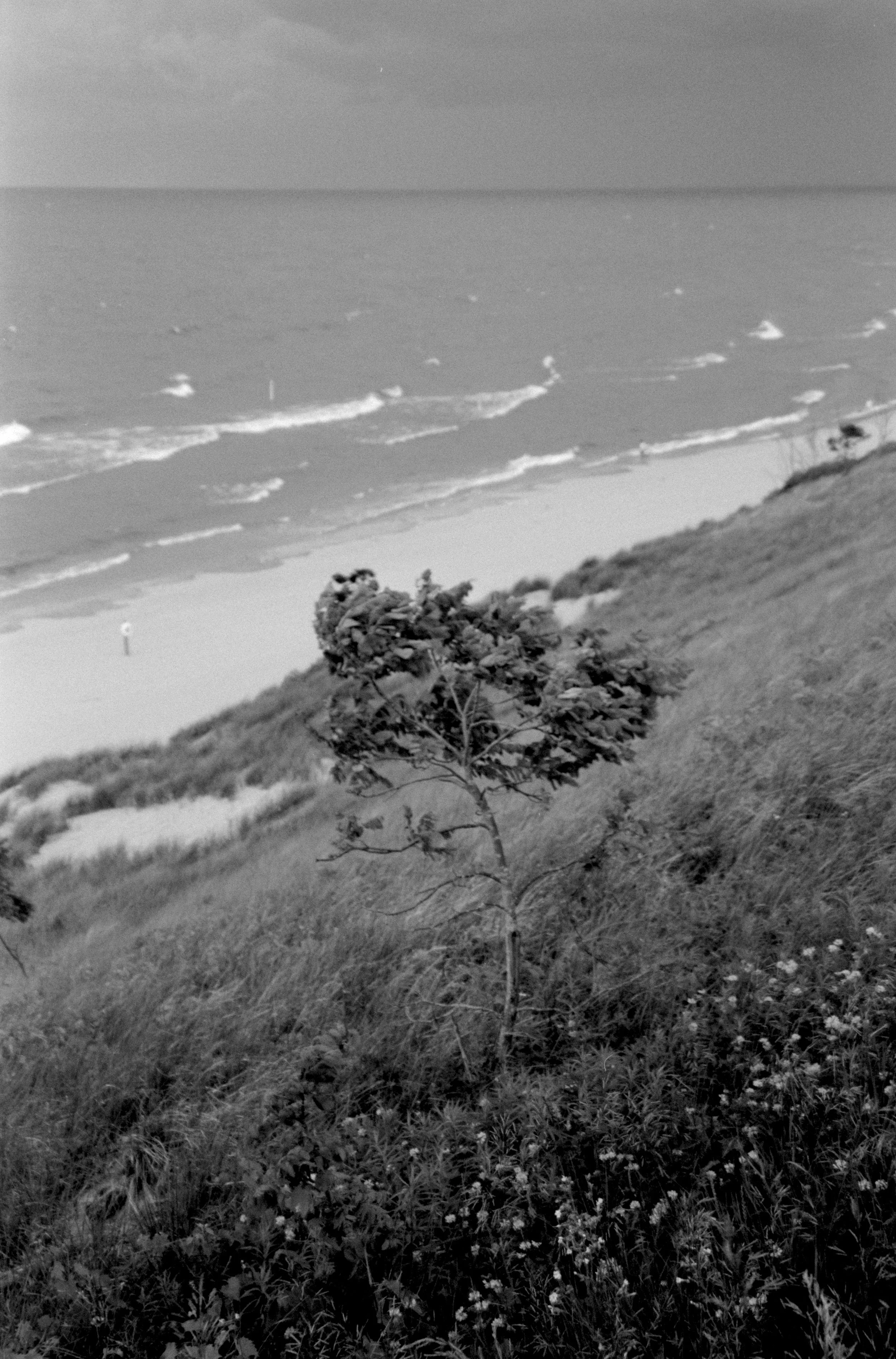 20260711_65379_Large_expsr.jpg