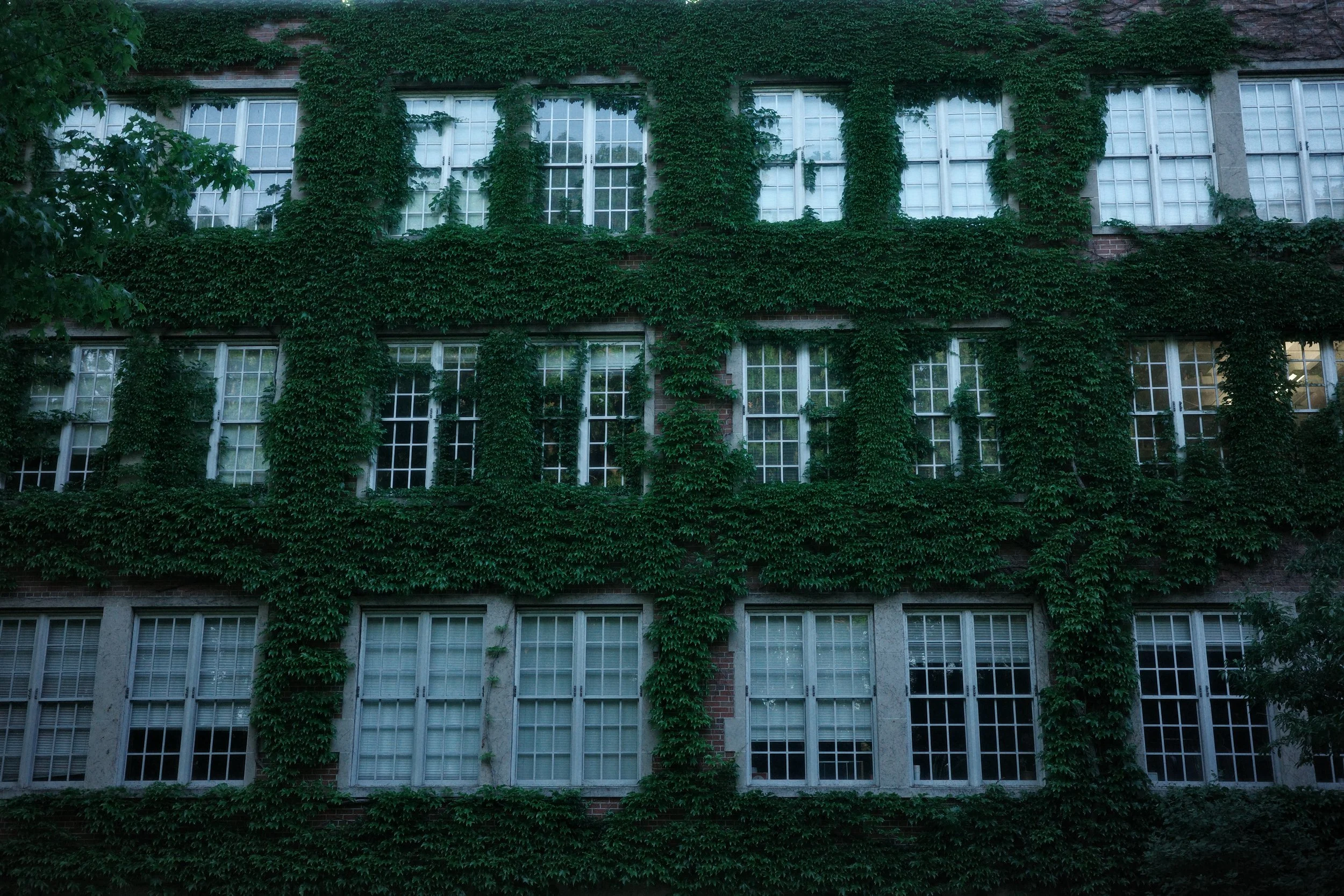 R0007912.JPG