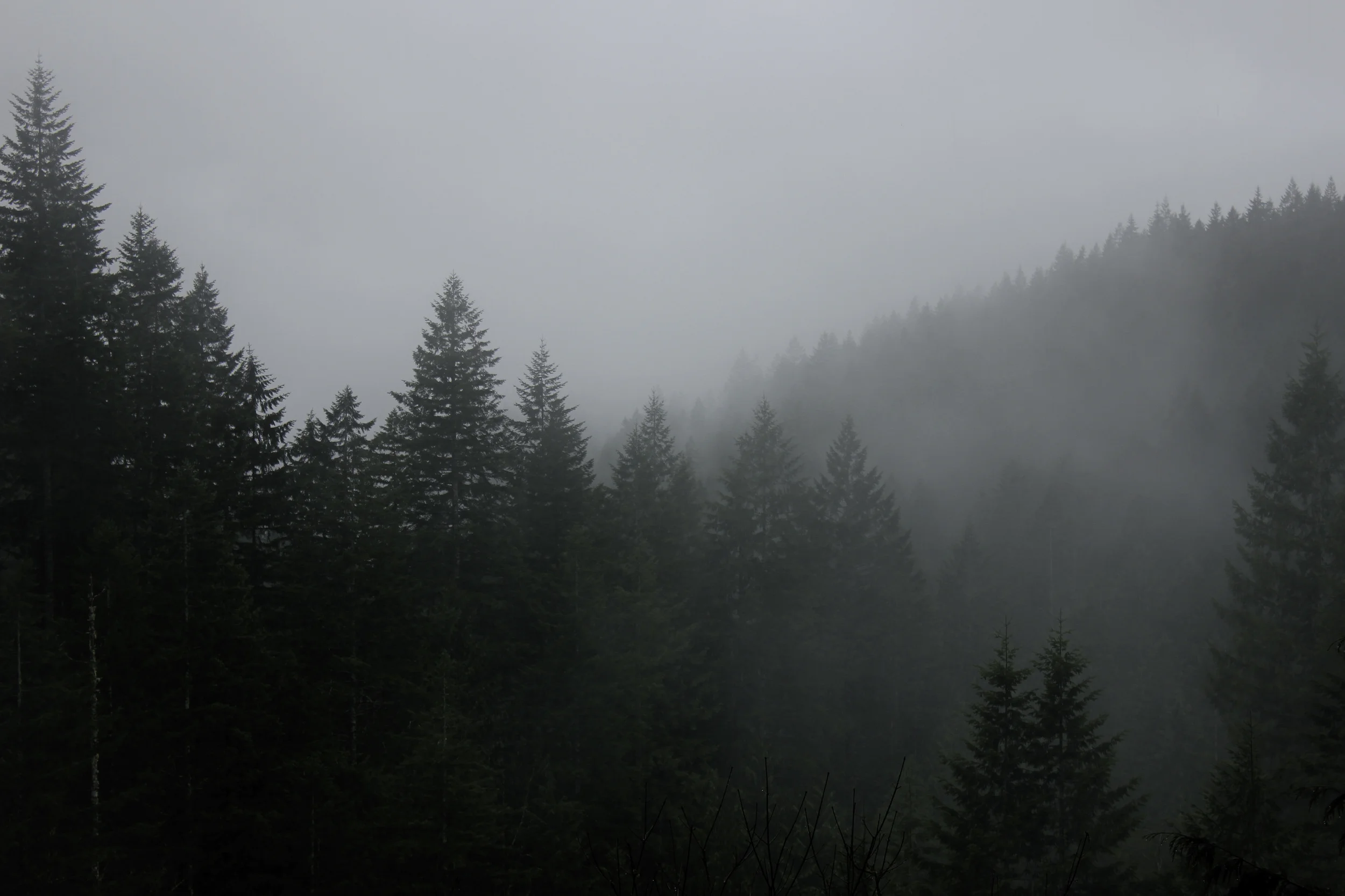 WALLACE FALLS 2