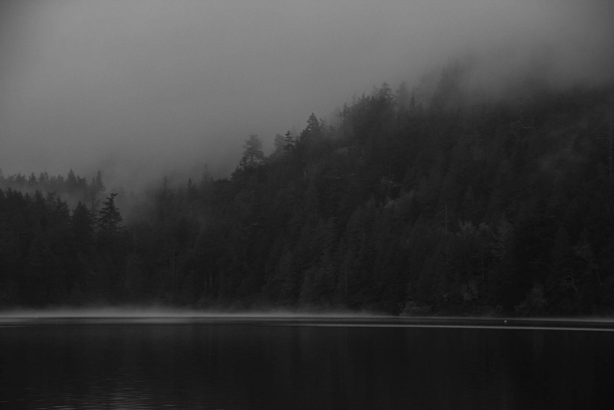OrcasCabin-1032.jpg