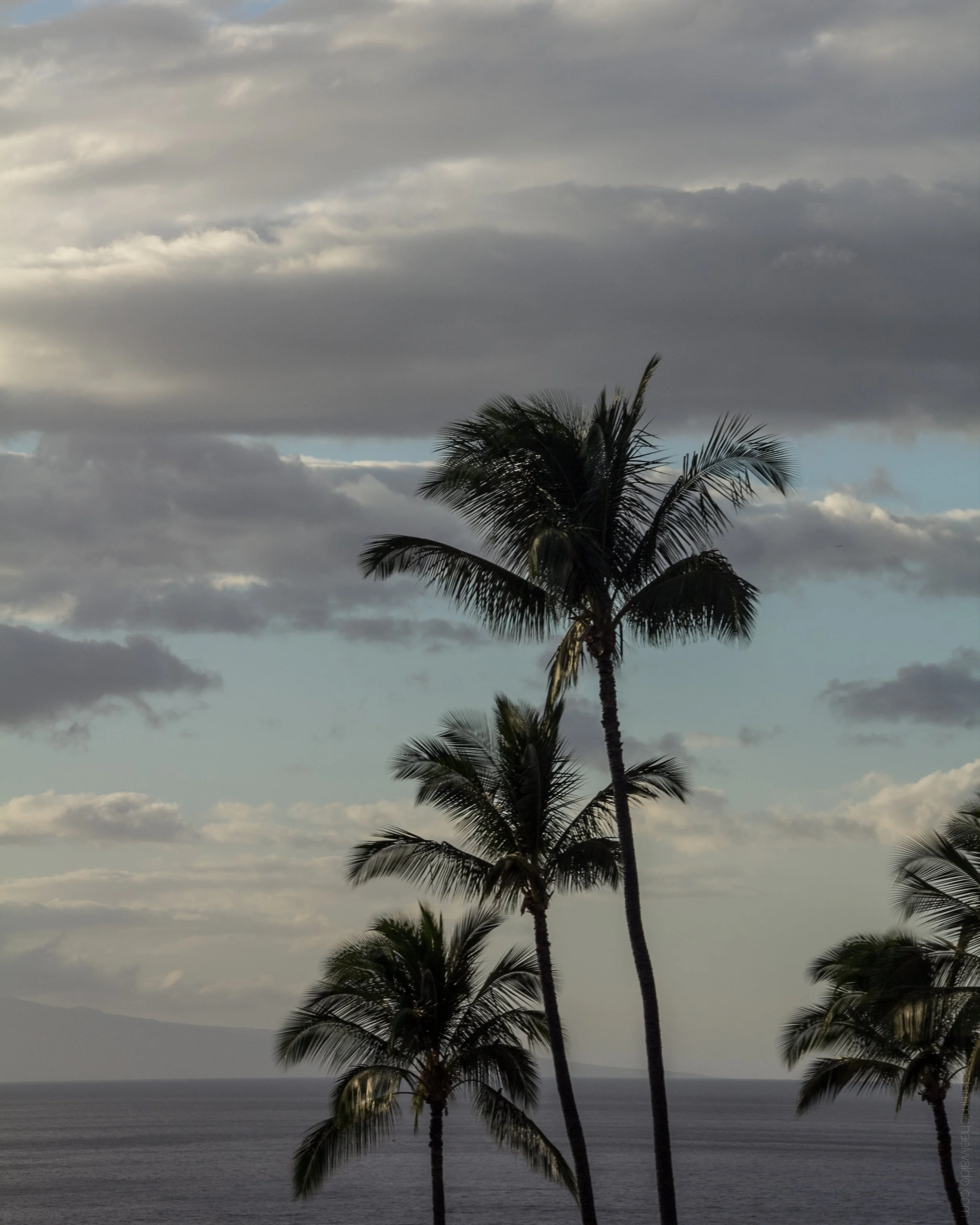 maui-1001.jpg