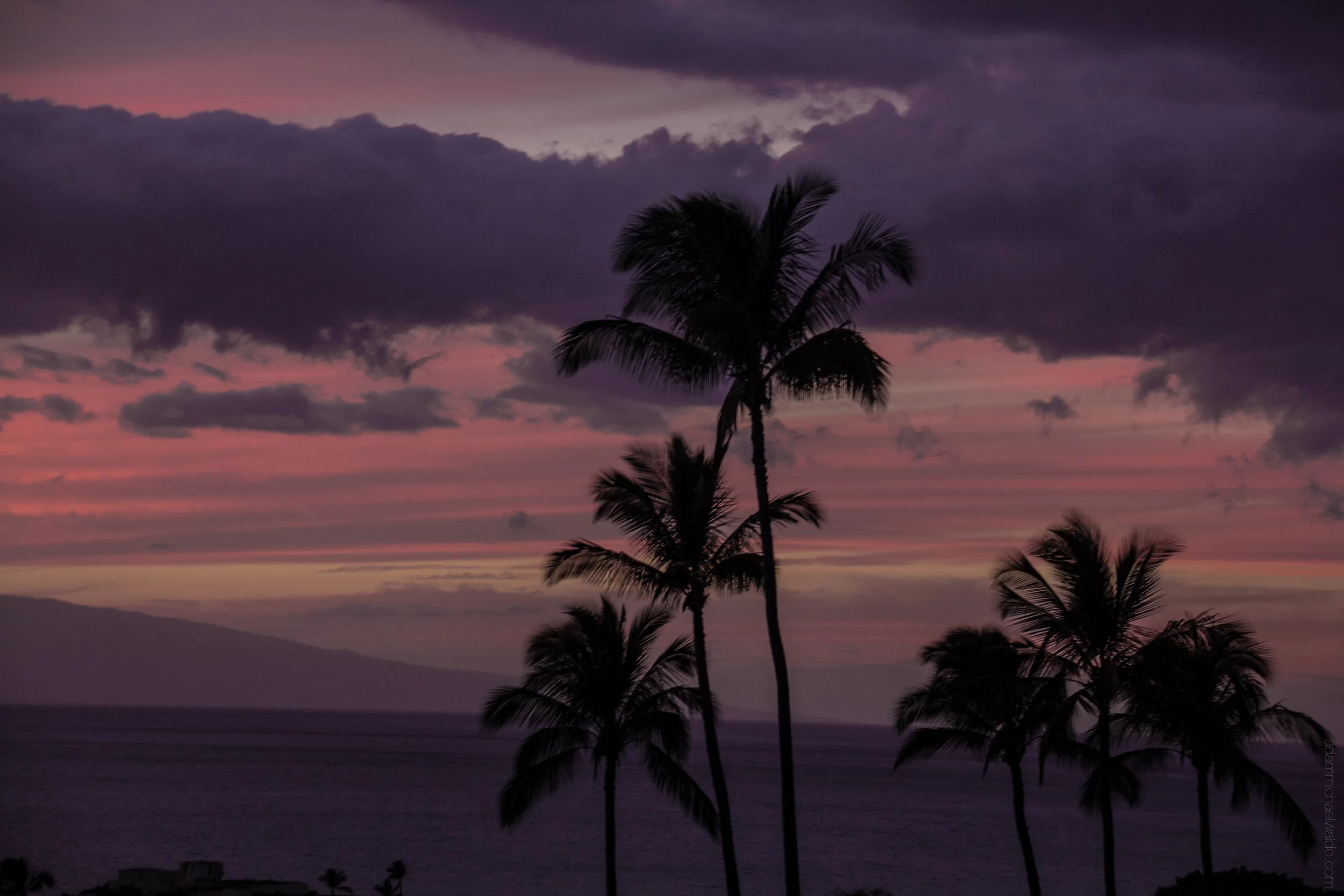 maui-1004.jpg