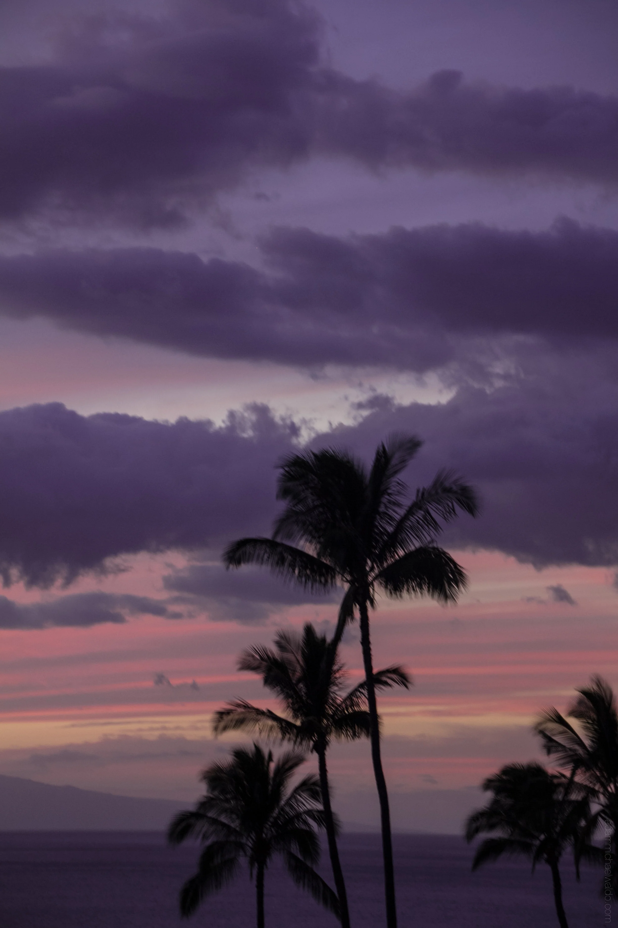 maui-1005.jpg