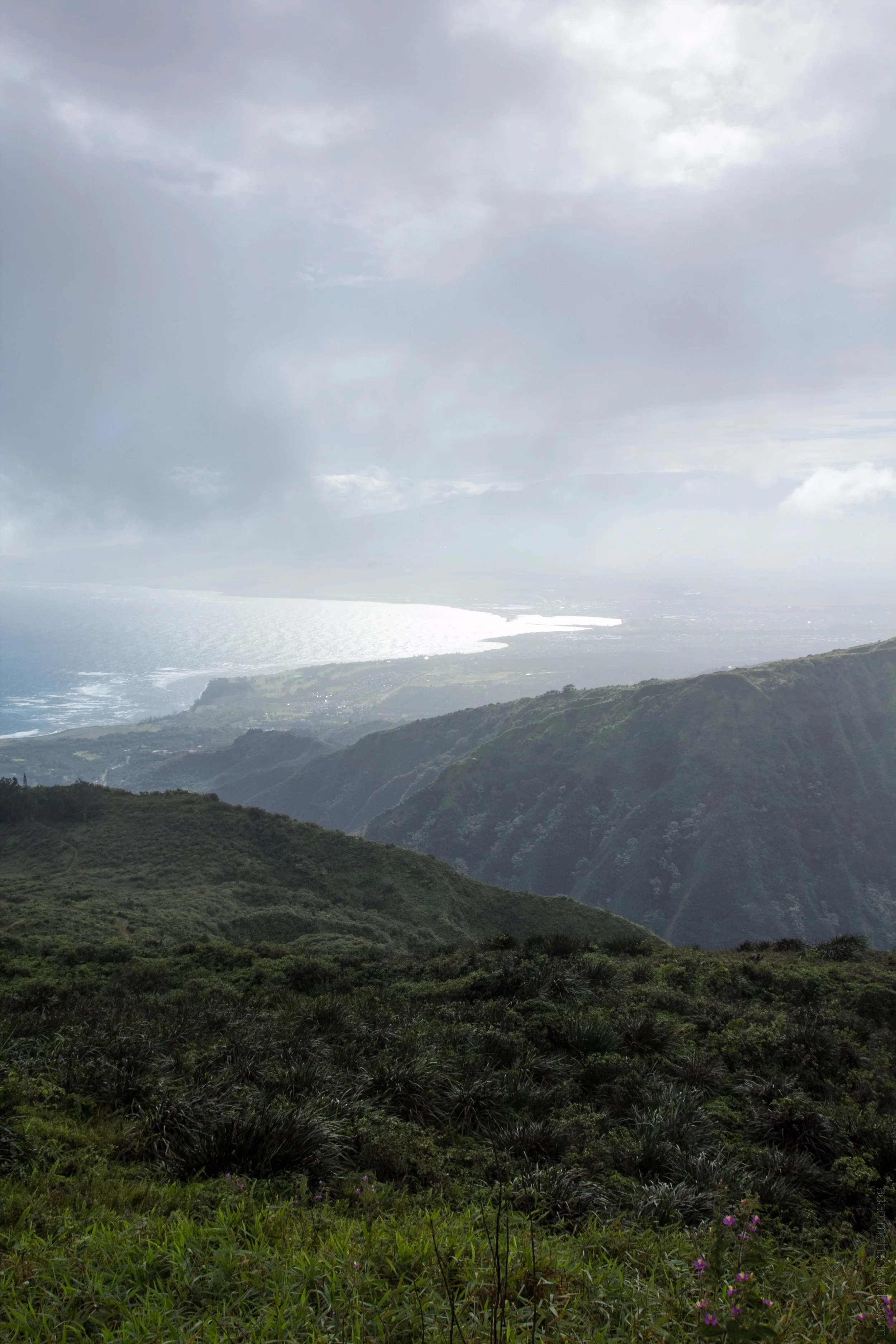 maui-1008.jpg