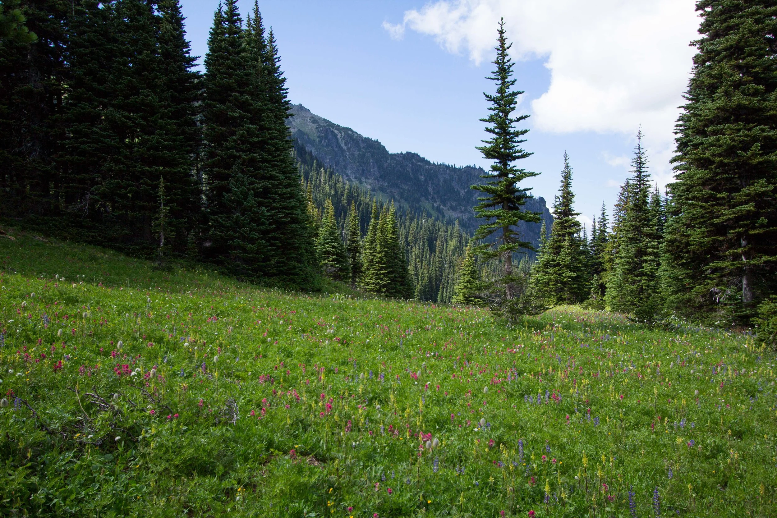 northernloop-1033.jpg