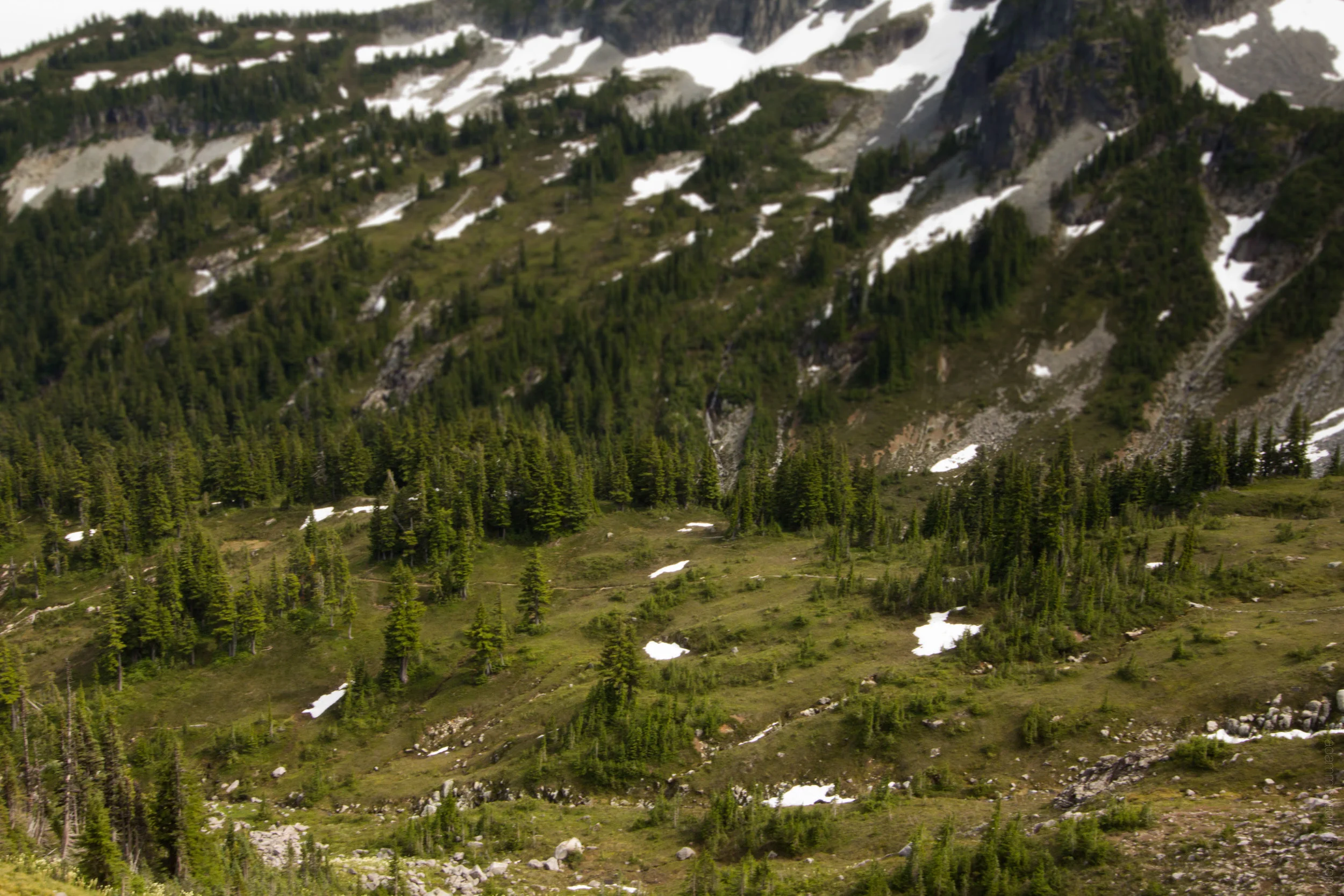 northernloop-1066.jpg