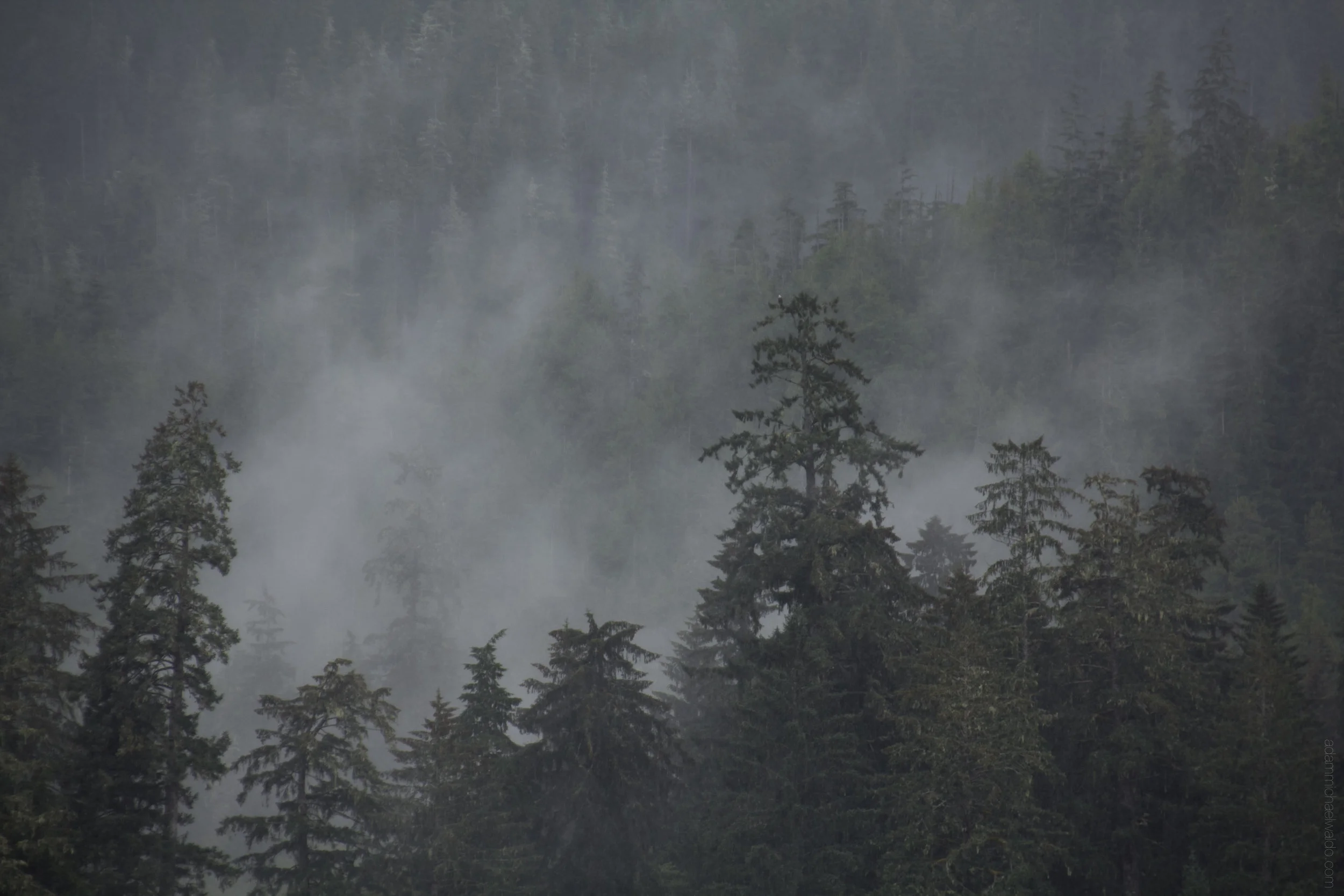 ketchikan-1022.jpg