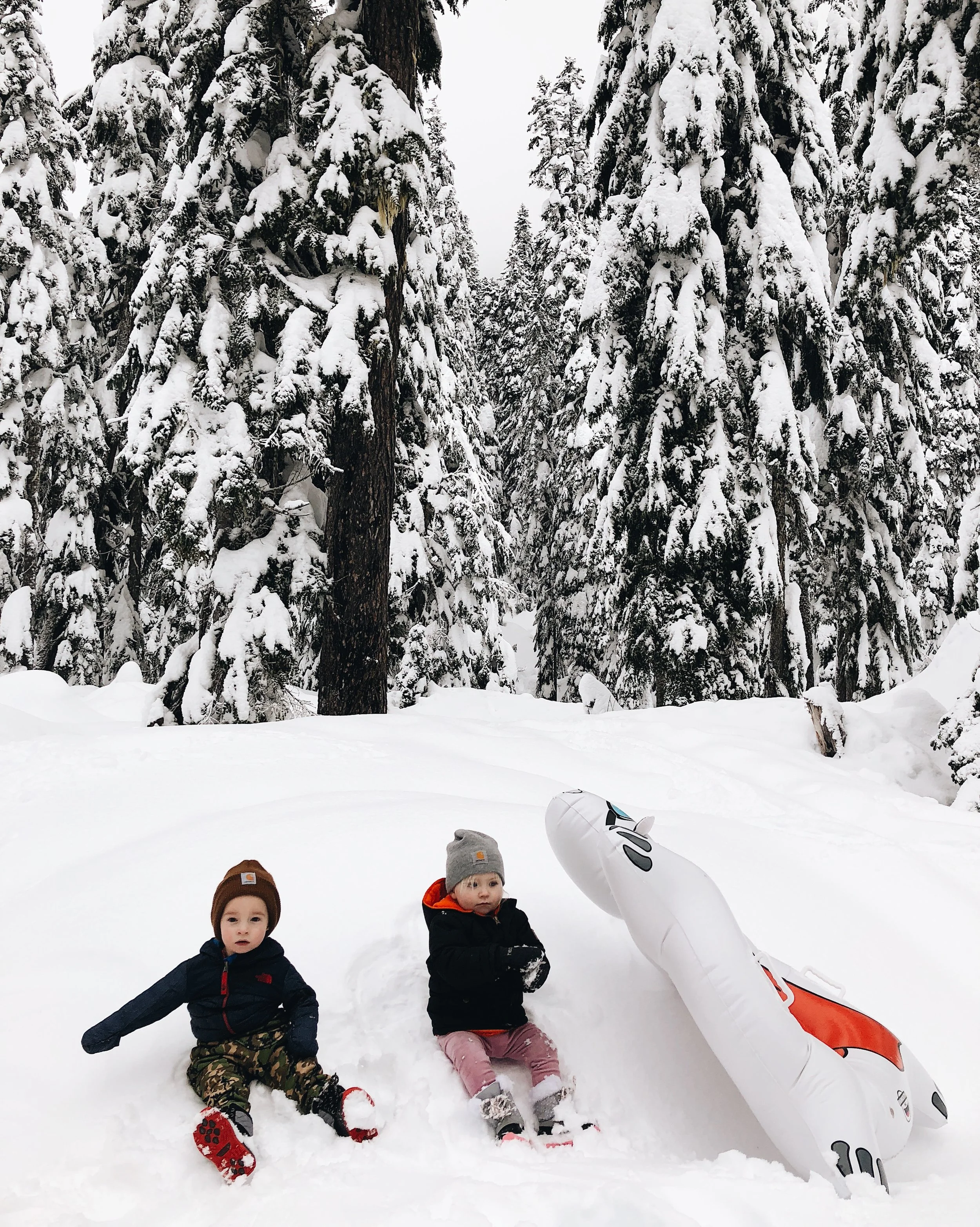 A5D7EFB6-EB72-43BA-9403-FBEA5EE95DA3.jpg