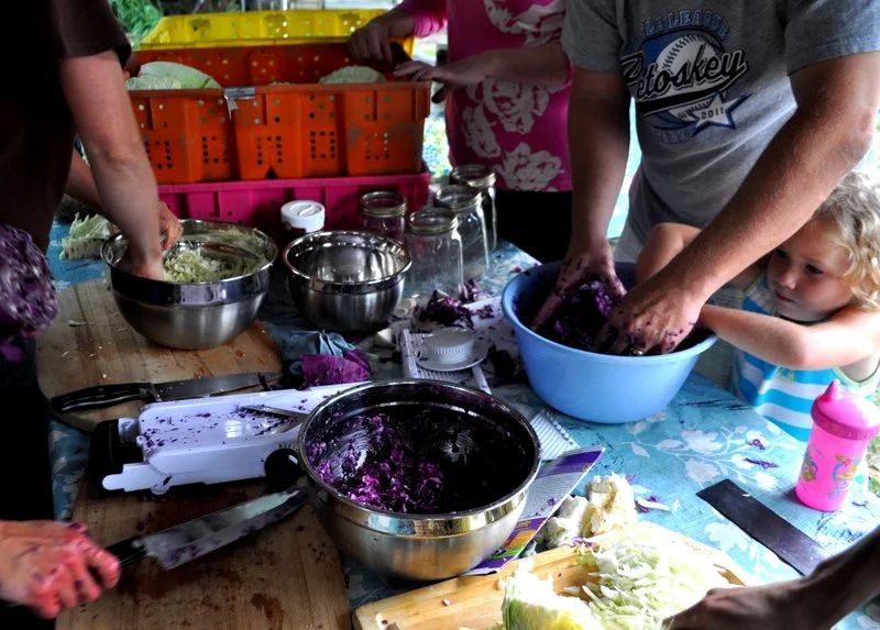 CSA members making sauerkraut at an August workshop at Bluestem Farm.