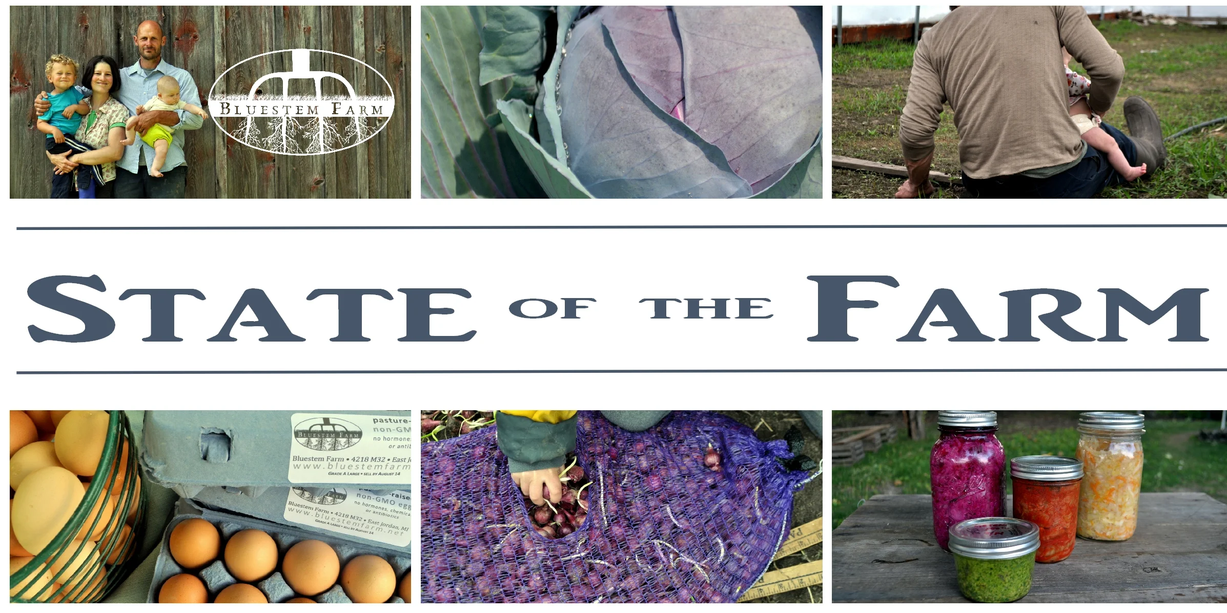 State of the Farm 2015