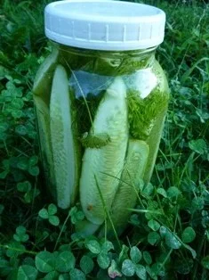 Members-Only Food Preservation Event: Brined Cucumber Pickles 