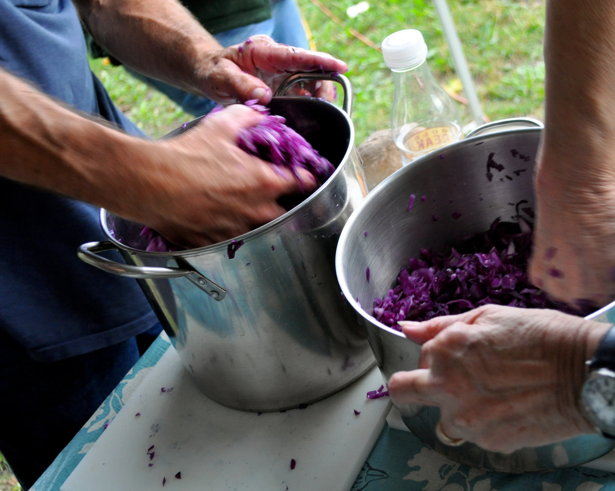 Members-Only Food Preservation Workshop: Sauerkraut (Tentative)