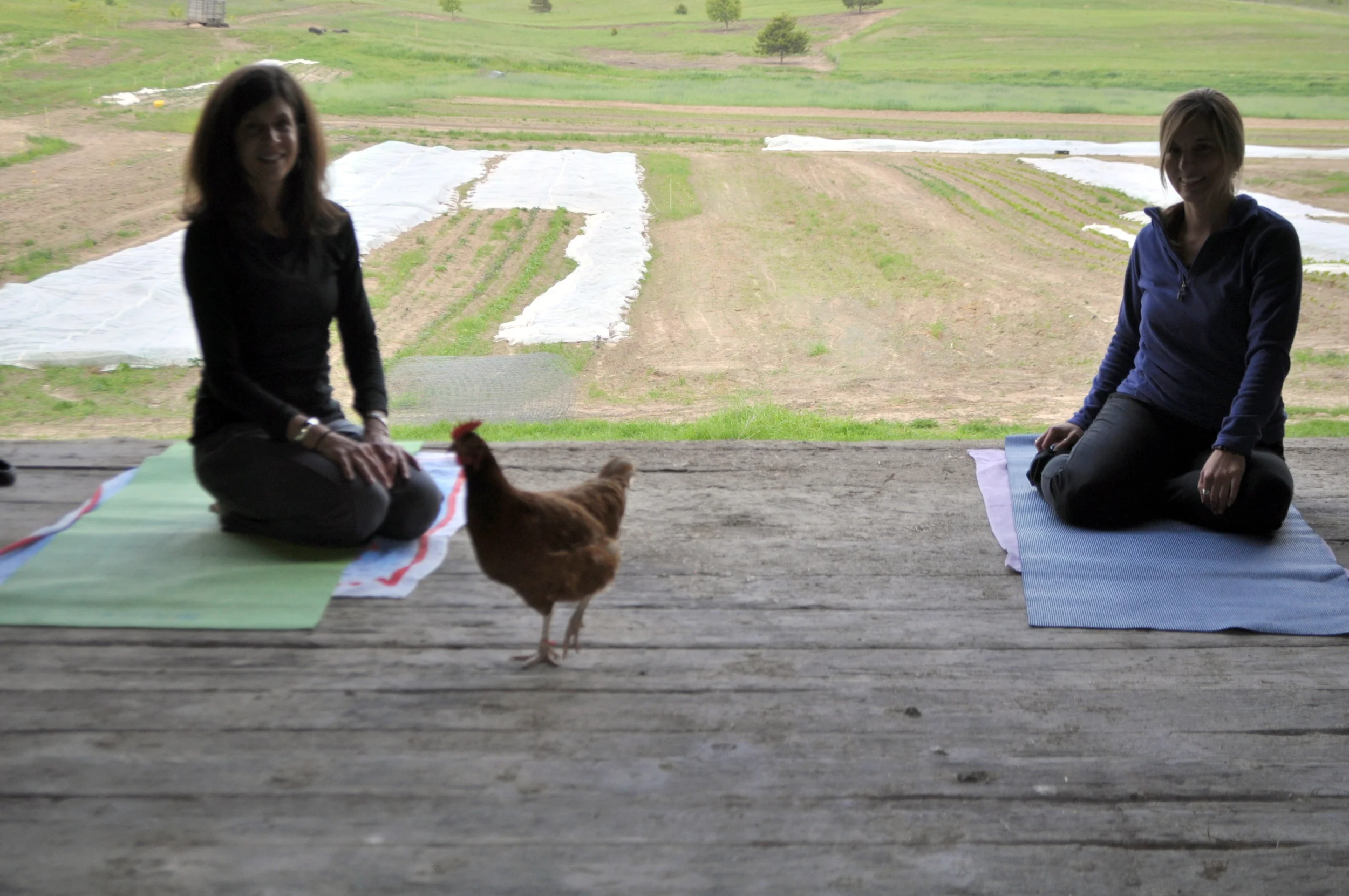 Yoga in the Barn - All July Tuesdays