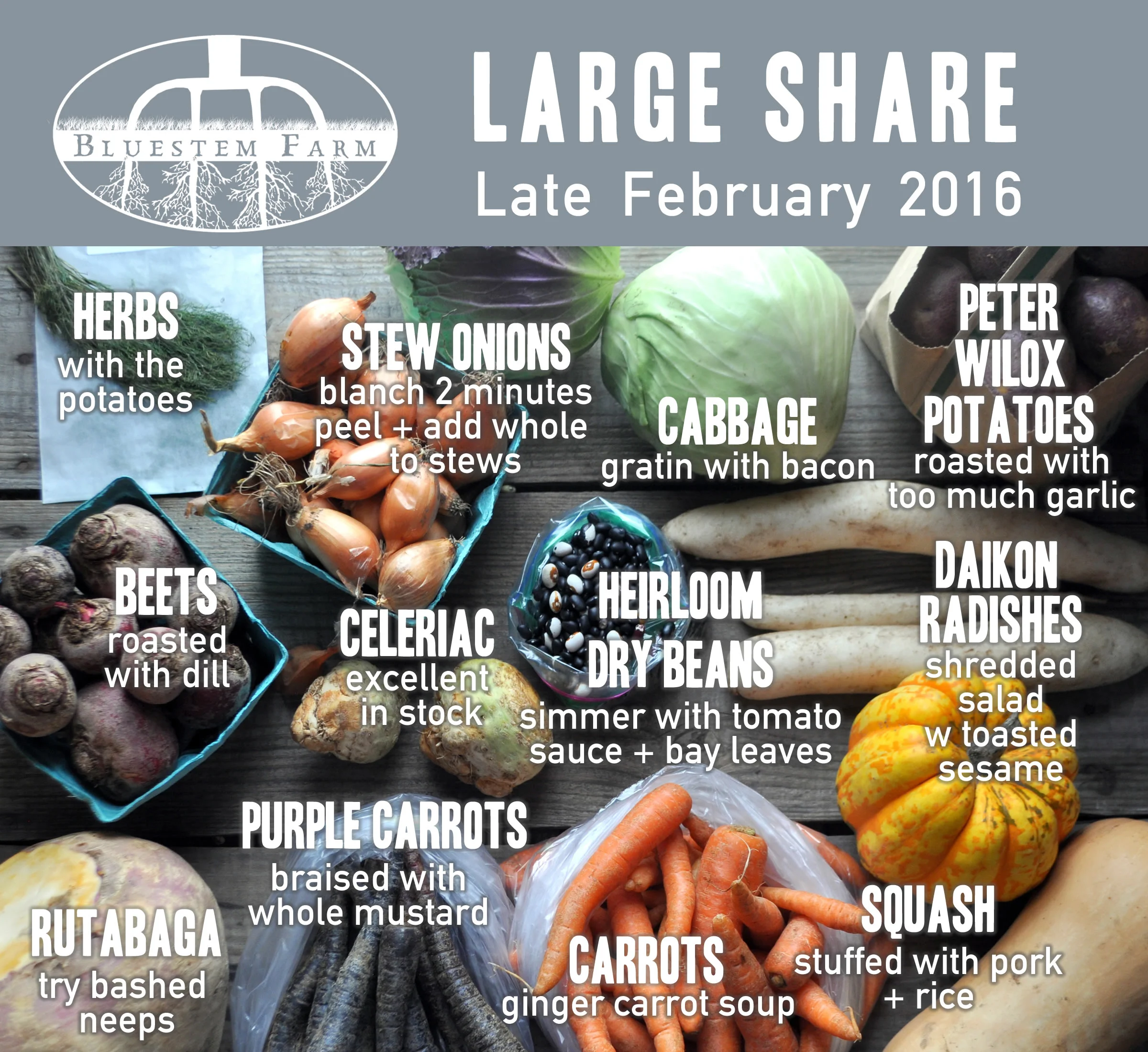 Late February CSA Shares