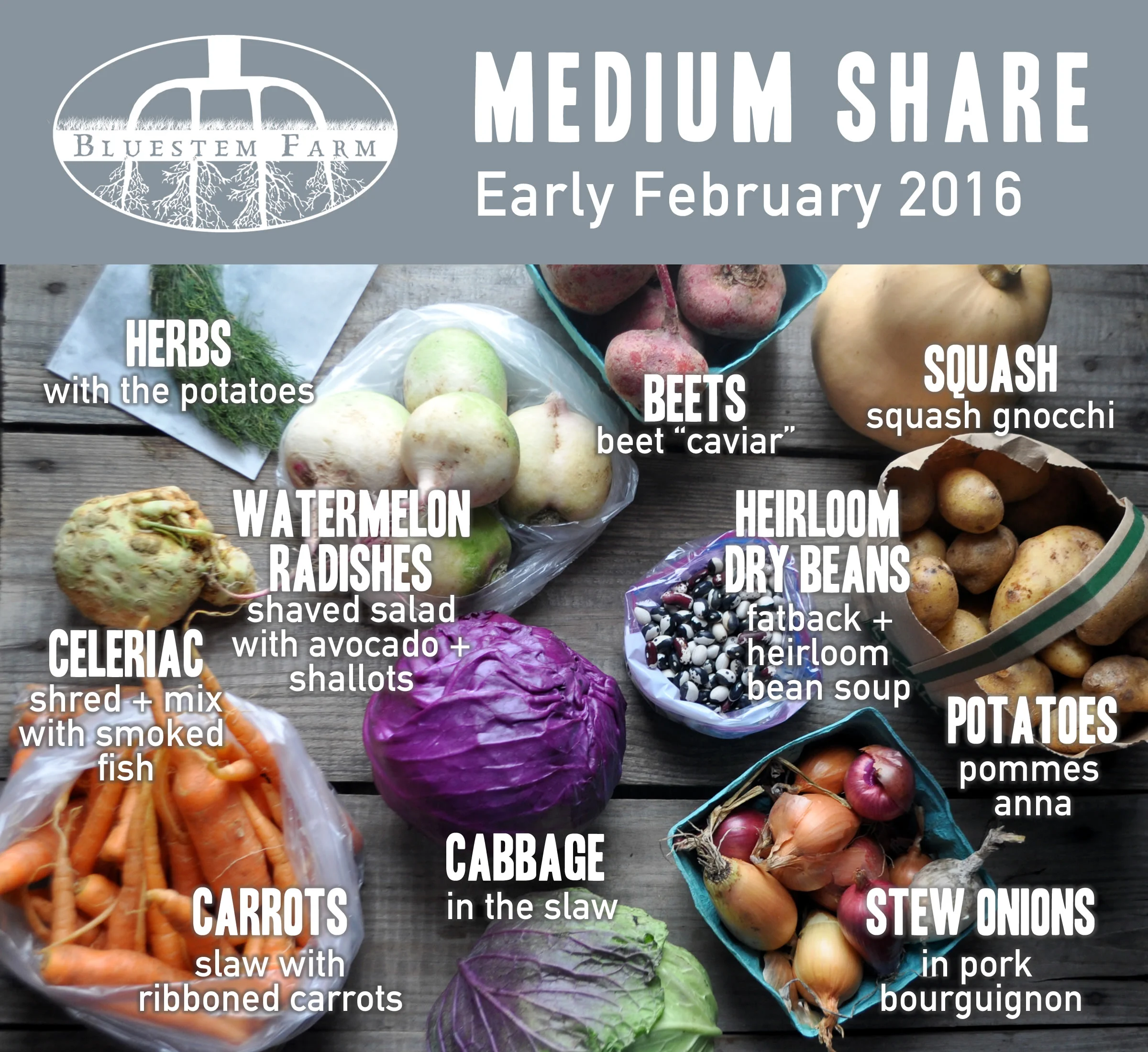 Early February CSA Shares