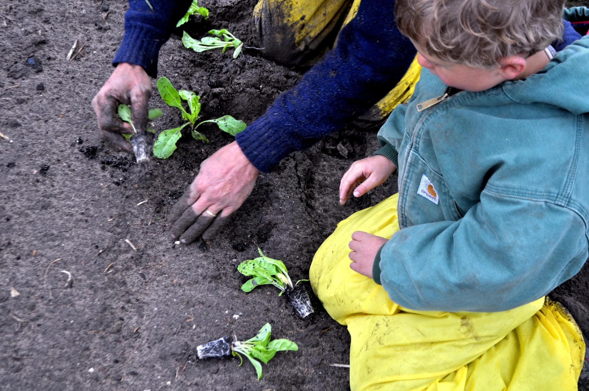  Meet the Farmers, Meet the FOOD!