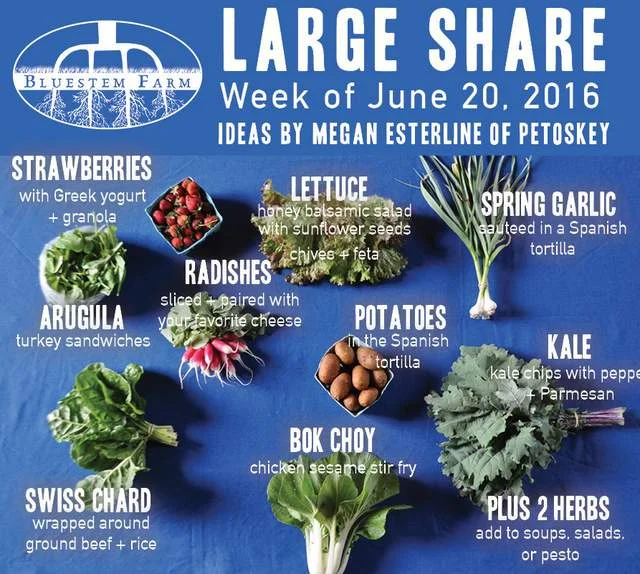 Summer Vegetable Shares: Week 2