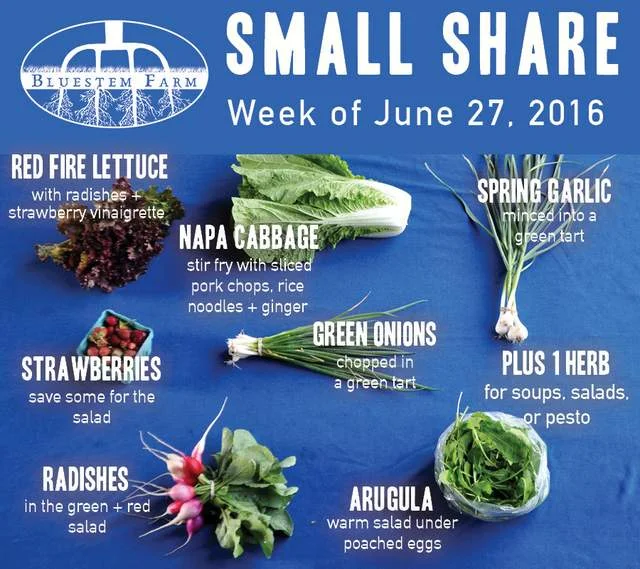 Summer Vegetable Shares: Week 3