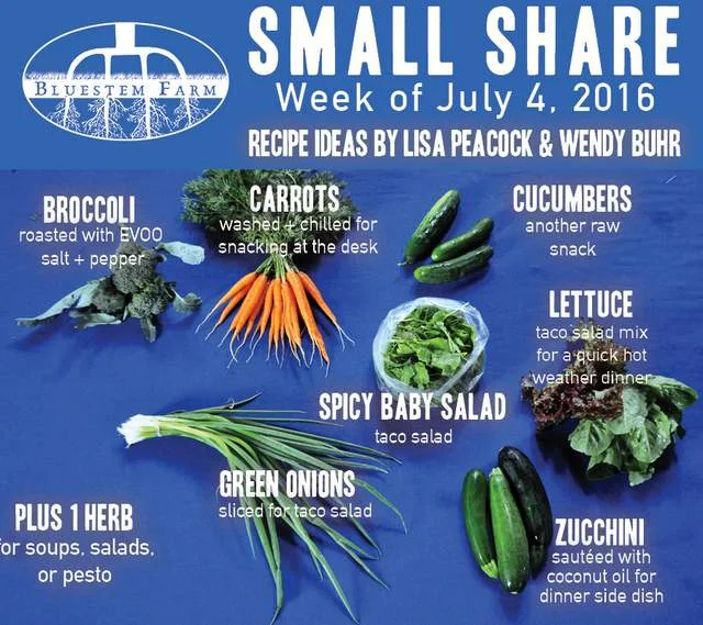 Summer Vegetable Shares: Week 5