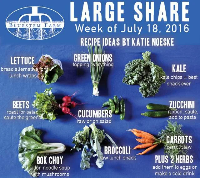 Summer  Vegetable Shares: Week 6