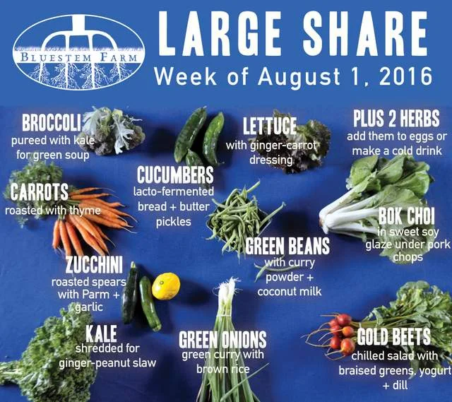 Summer Vegetable Shares: Week 8