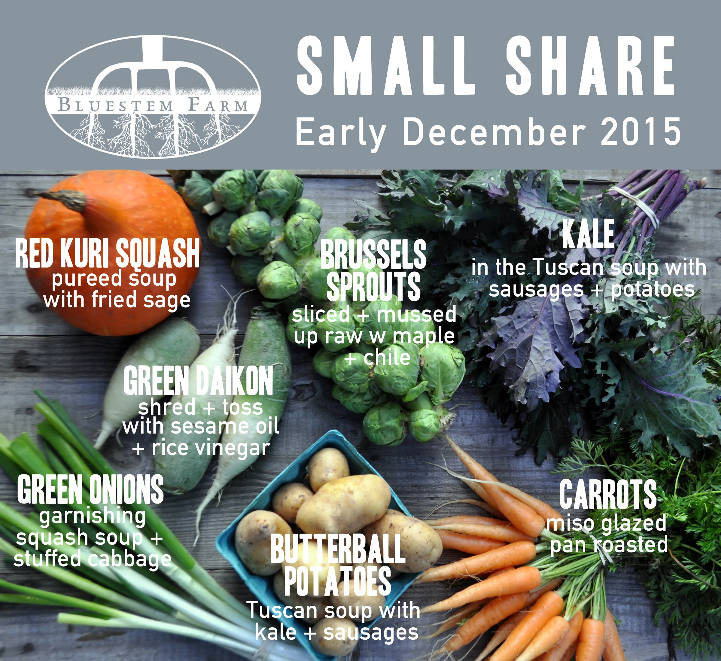 earlyDec Med 2015 - RECIPES.jpg