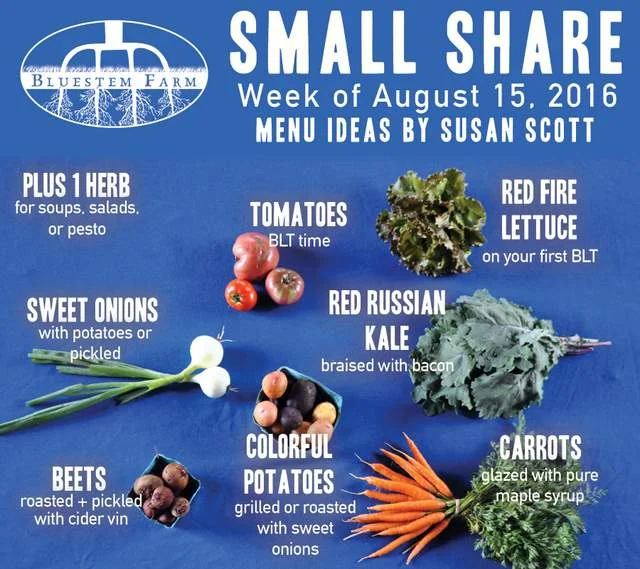 Summer Vegetable Shares: Week 10