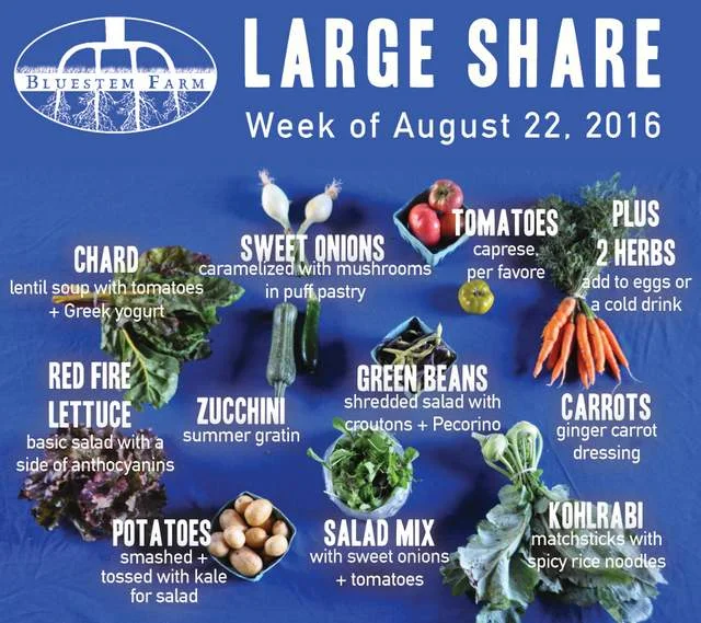 Summer Vegetable Shares: Week 11