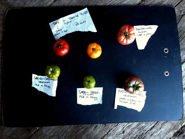 Tomato Time