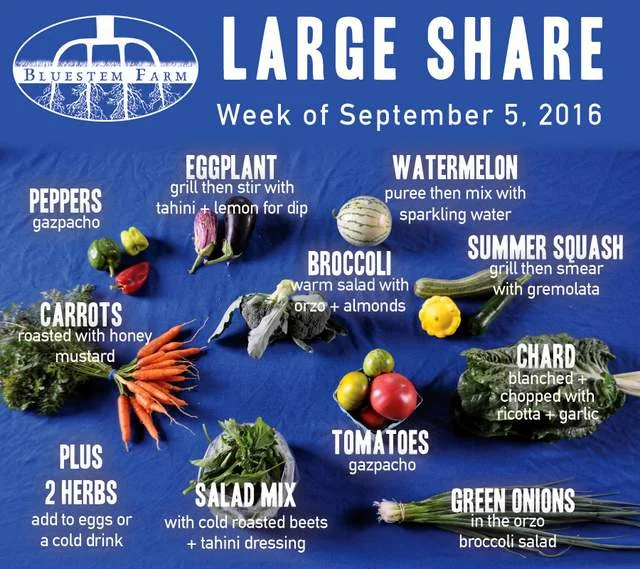 Summer Vegetable Shares: Week 13