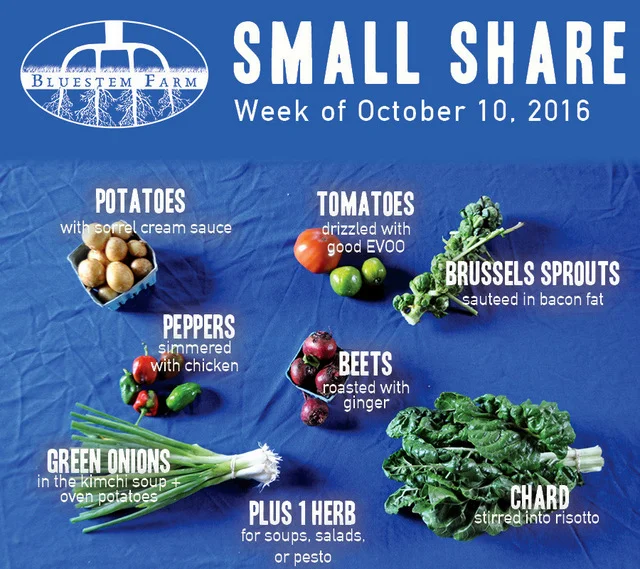 Summer Vegetable Shares: Week 18