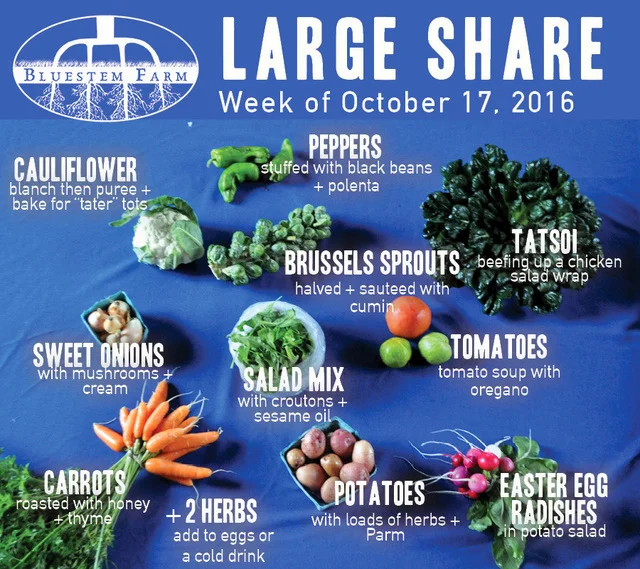 Summer Vegetable Shares: Week 19