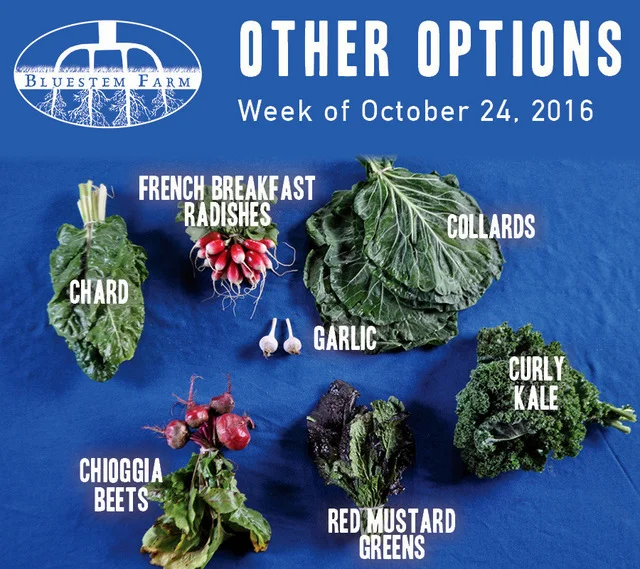 Summer Vegetable Shares: Week 20