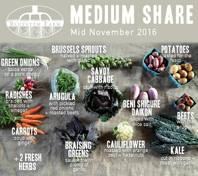 Winter Vegetable Shares: Mid November