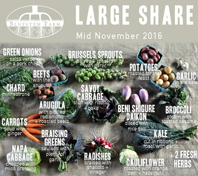 Winter Vegetable Shares: Early November