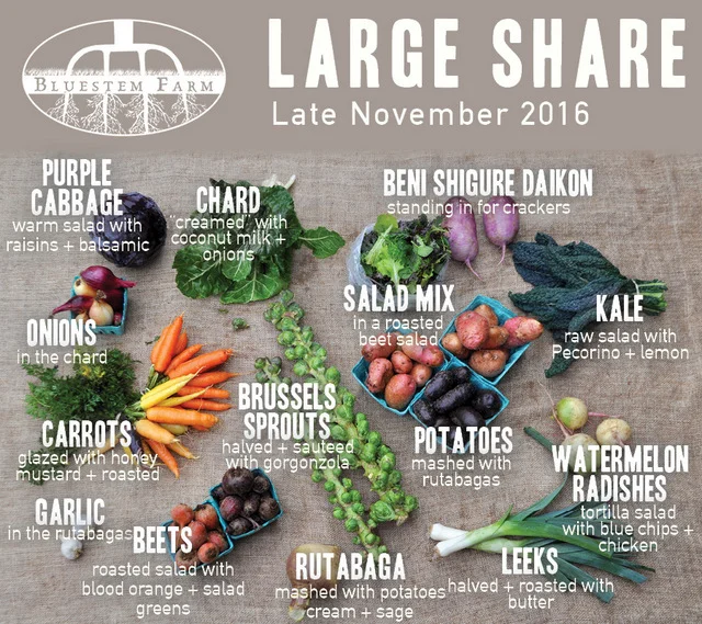 Winter Vegetable Shares: Late November