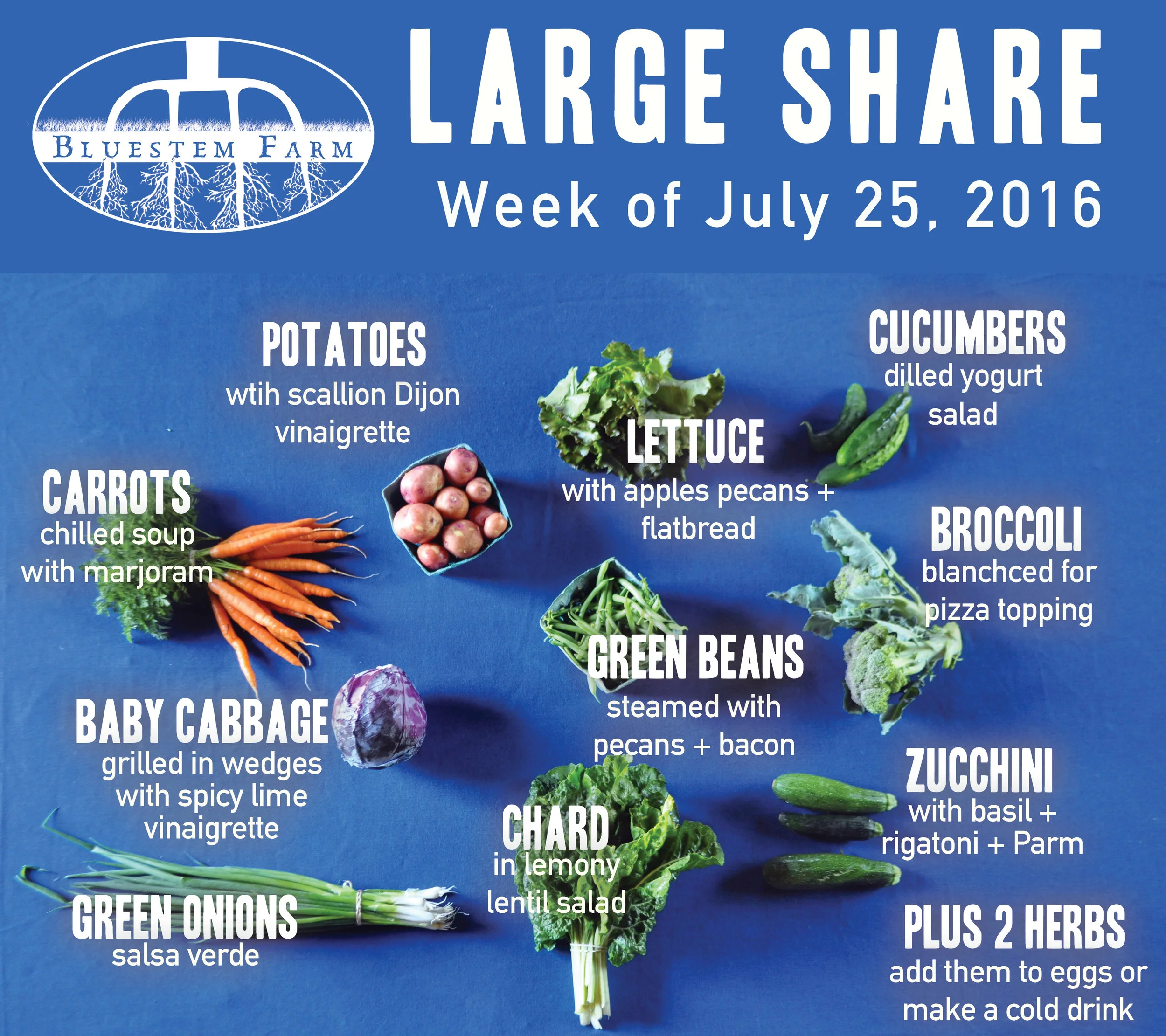 Summer 2016 Share Recap