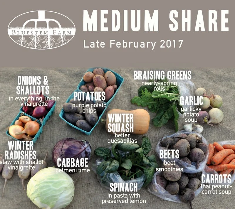 Winter Vegetable Shares: Late February