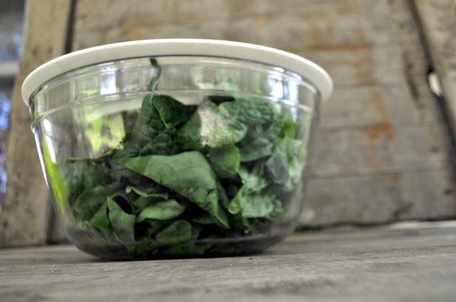 Fresh Food Triage and the Art of Unpacking a CSA Share