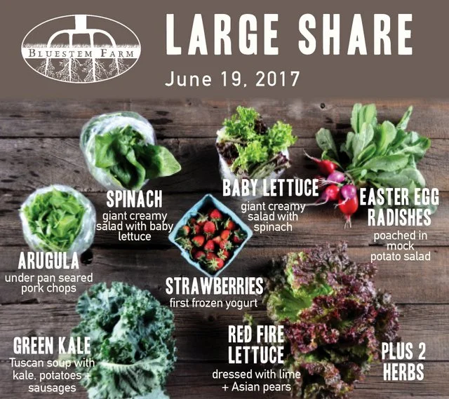 Summer Vegetable Shares: Week 2