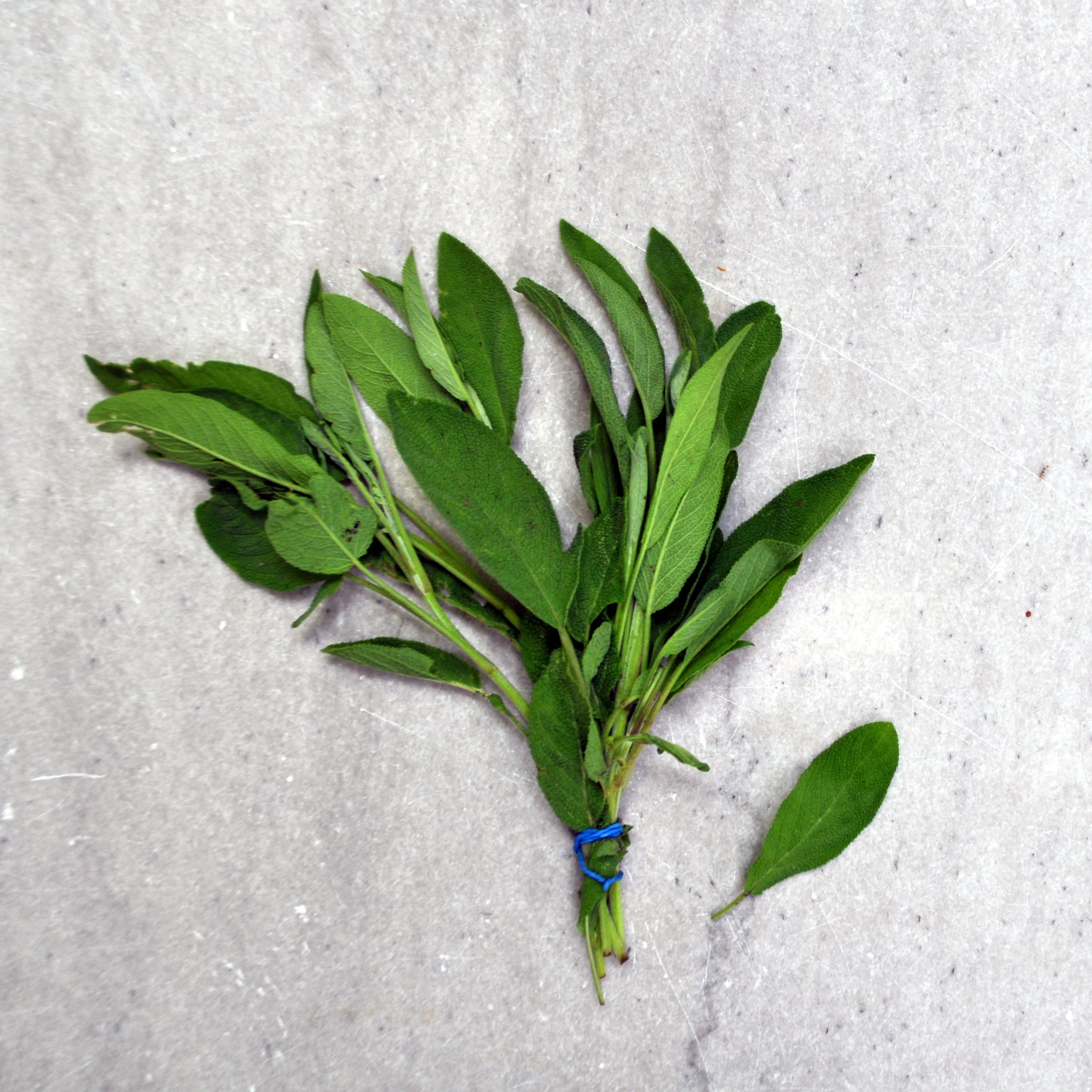 On Herbs