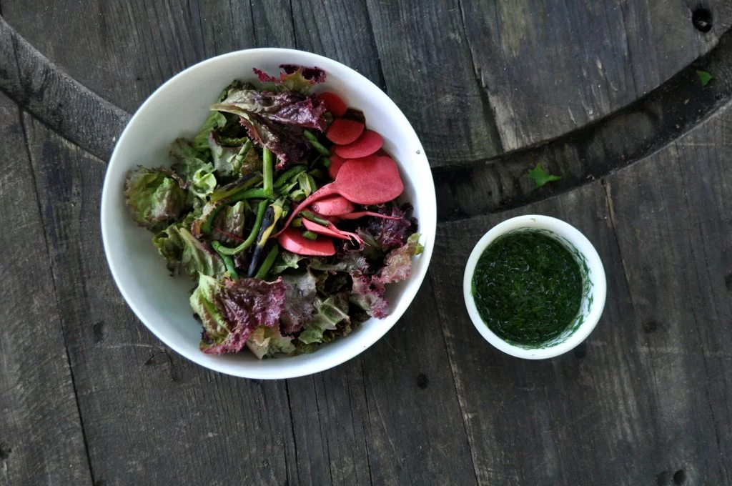 Spotlight: Red Lettuce