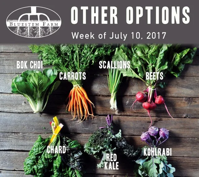Summer Vegetable Shares: Week 5