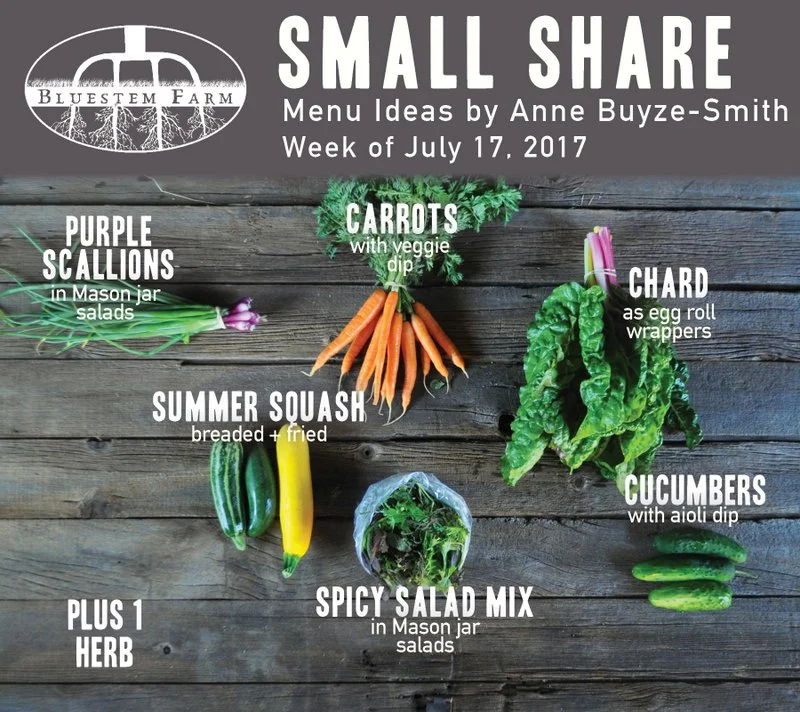 Summer Vegetable Shares: Week 6