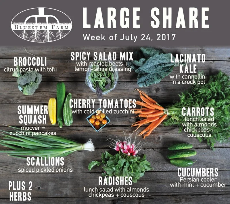 Summer Vegetable Shares: Week 7