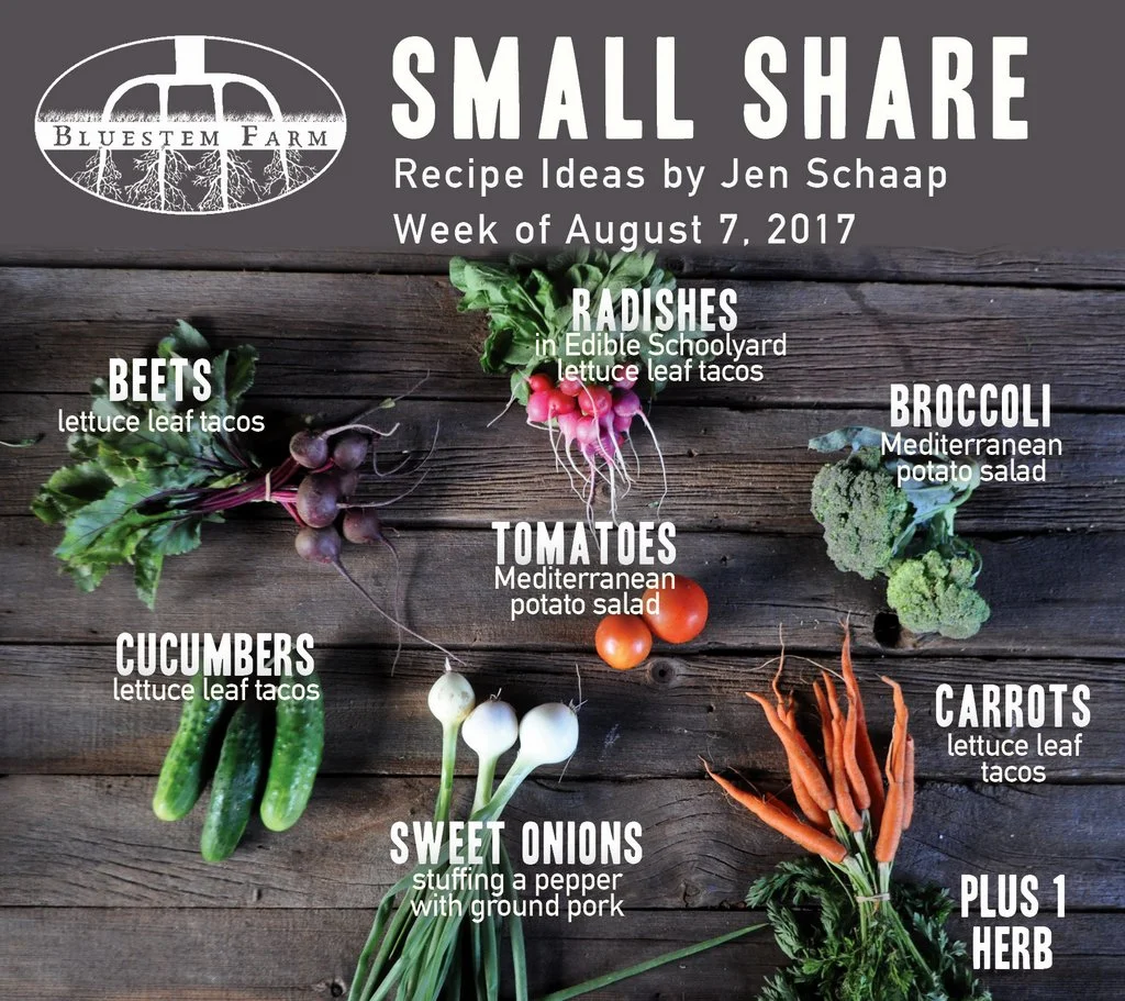 Summer Vegetable Shares: Week 9