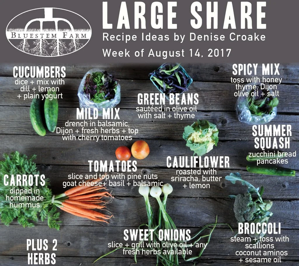 Summer Vegetable Shares: Week 10 