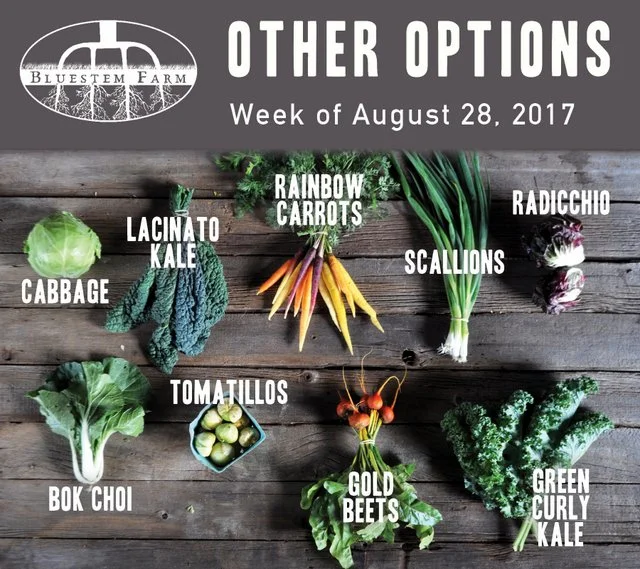 Summer Vegetable Shares: Week 12