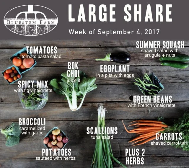 Summer Vegetable Shares: Week 13