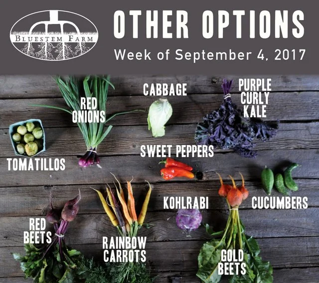 9.4.17 -OTHER.jpg